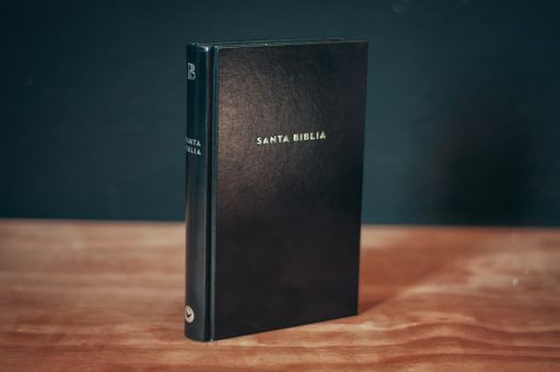 A selective focus shot of a Holy Bible on a wooden surface