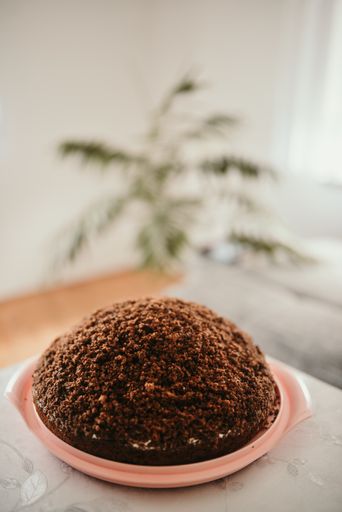 A vertical shot of a tasty cake on a pink plate