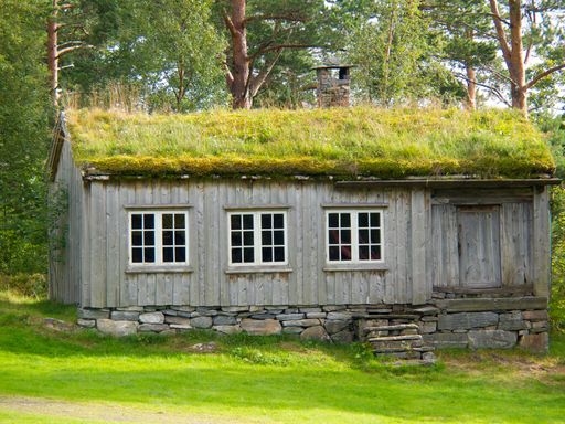 A rustic cabin surrounded by dense trees