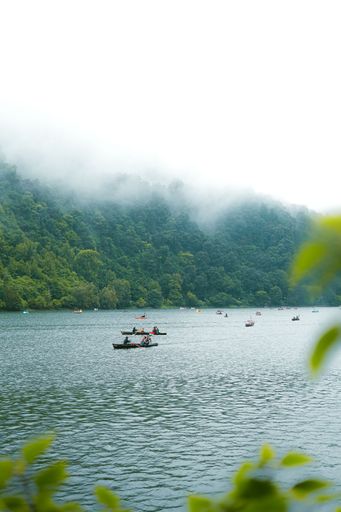 A natural view of boats on a calm lake against foggy forest