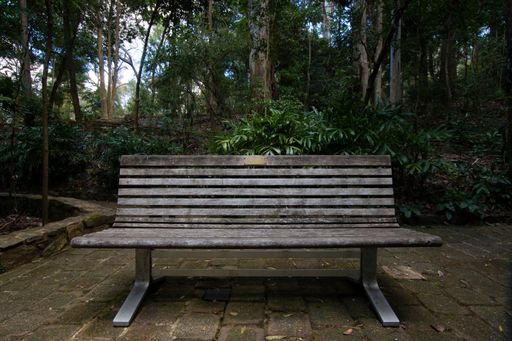 An old wooden bench in a park with lush green nature in the background in daylight