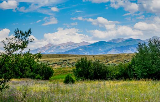 A beautiful view of a sunny field in the wilderness with mountains and lush trees under a cloudy sky
