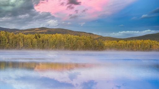 Yukon in Canada, wild landscape in autumn of the Tombstone park, reflection of the trees in a lake