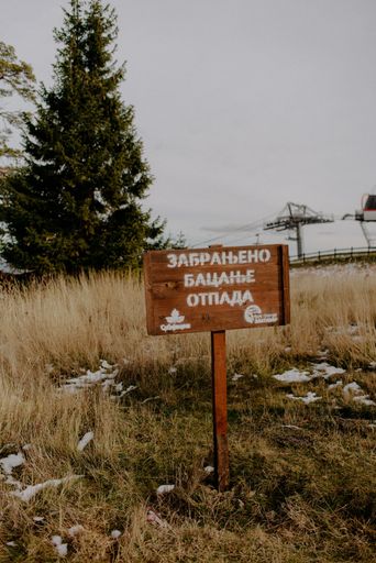 A close-up shot of a wooden sign in Russian in the forest