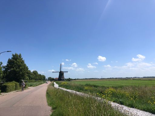 A Dirt road with trees and green field near Kinderdijk windmill in Netherlands with blue sky