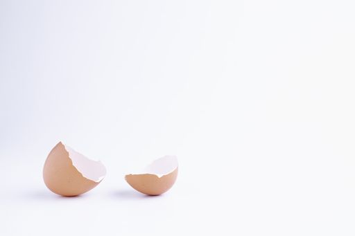 brown eggshell on white surface