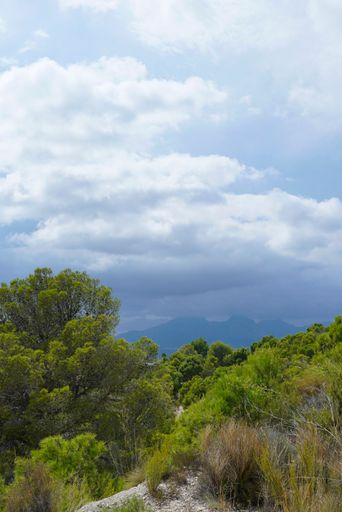 A vertical shot of the Altea Hills with high green mountains in the daytime in Valencia, Spain