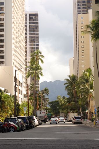 A vertical shot of a main street found in Honolulu Oahu, United States