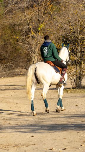 A vertical shot of a black man riding a white horse at the farm.