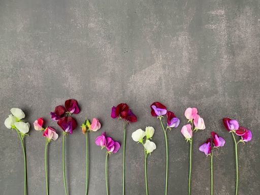 A top view of flowers on a gray textured surface with a space for text
