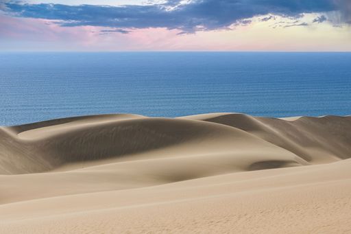Namibia, the Namib desert, landscape of yellow dunes falling into the sea