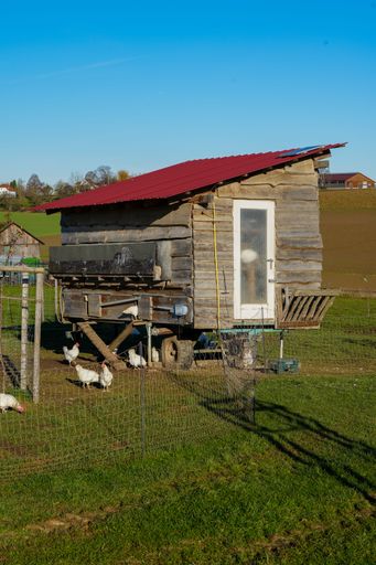 A vertical shot of a wooden hen house with chickens on a farm in the countryside