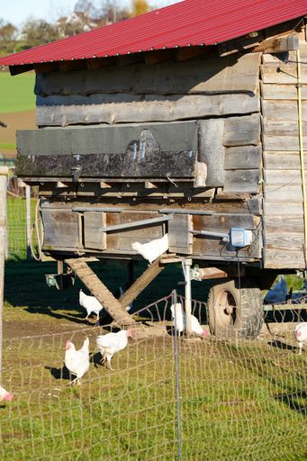 A vertical shot of a wooden hen house with chickens on a farm in the countryside