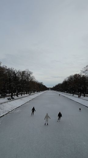 A vertical shot of leafless trees lined up along an ice rink, with females skating on a frosty winter day