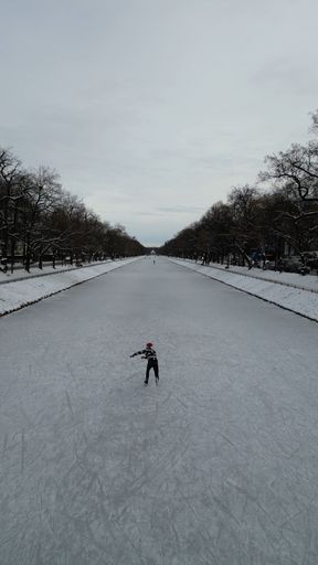 A vertical shot of leafless trees lined up along an ice rink, a male skating on a frosty winter day