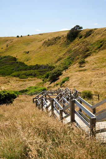 A rustic wooden staircase with a pathway winding through a lush green hillside