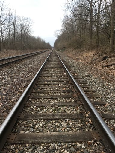 A vertical shot of the railways going through the beautiful trees