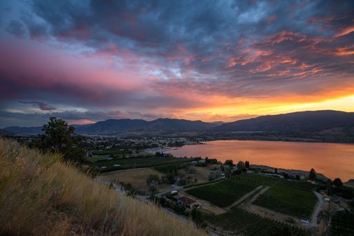 A landscape view of Okanagan Lake and Naramata Bench vineyards at sunset