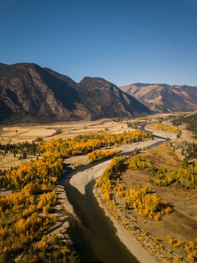 A high-angle view of a floodplain in the yellow trees during the fall season.
