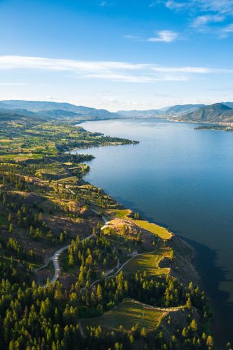 An aerial view of Penticton surrounded by Okanagan Lake and the Naramata Bench vineyards