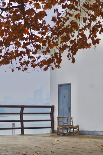 A vertical shot of a tree and bench with a view of the lake on a foggy day.