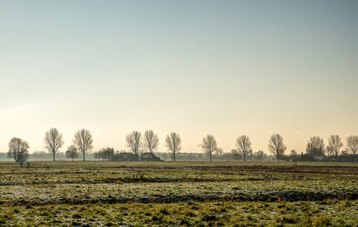 A beautiful shot of a grassy field with buildings in the distance near leafless trees