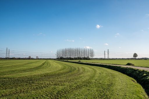 A road in the middle of a grassy field with leafless trees in the distance under a blue sky
