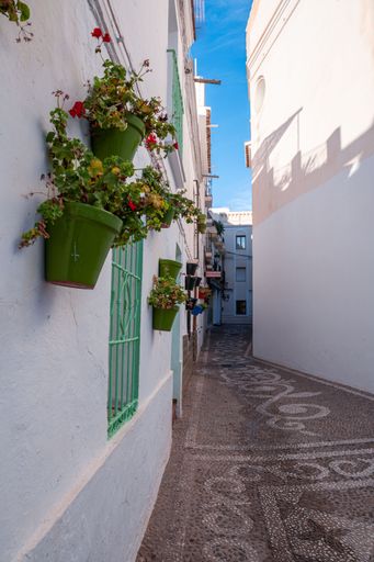 An urban street scene featuring a vibrant display of potted flowers. Nerja, Spain.
