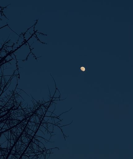 A vertical shot of the shiny moon during nighttime in the blue sky