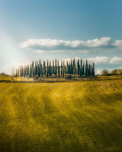 A vibrant vertical shot of the captivating Val d'Orcia landscape in Tuscany, Italy