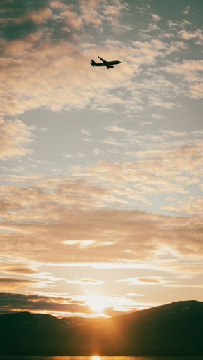 A vertical shot of a silhouette of a plane flying in a sunset sky