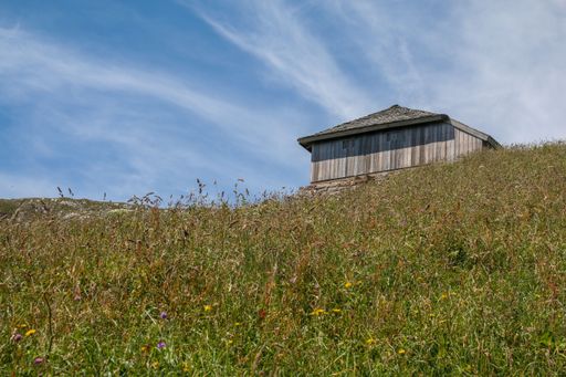 A cozy wooden hut perched on a hillside, surrounded by lush greenery