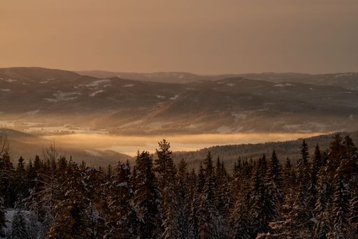 Mesmerizing dreamy sunset over snowy mountains, forest in foreground, peaceful winter scene