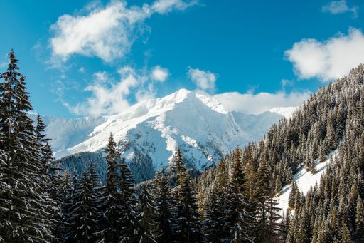 A beautiful shot of a snowy landscape