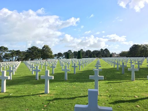 A landscape of a graveyard with white crosses in the green field