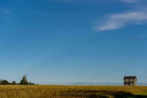A red barn is situated in the lush, tall grass beside a dirt road, surrounded by a peaceful countryside setting