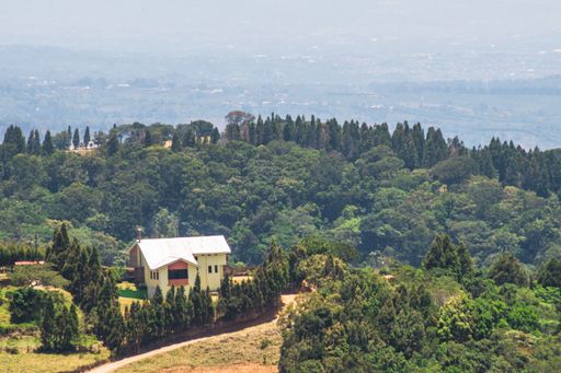 An aerial view of a rural house in hills covered with greenery on a sunny day