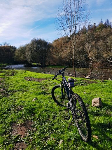 A vintage-style bicycle with a basket resting on a lush grassy area near a lake