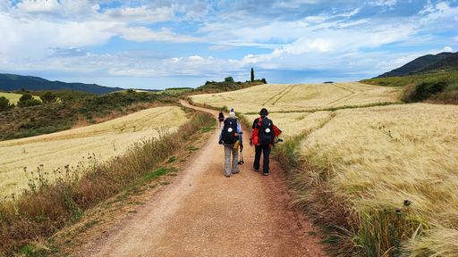 The hikers walking on the pathway in a valley