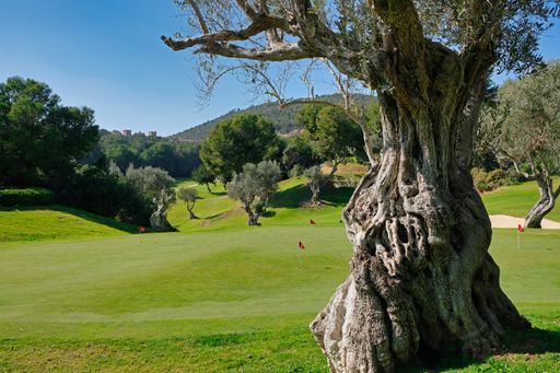 The Real Golf Bendinat in Mallorca