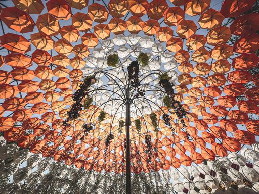 An overhead view of a colorful umbrella canopy, showcasing its vibrant patterned design