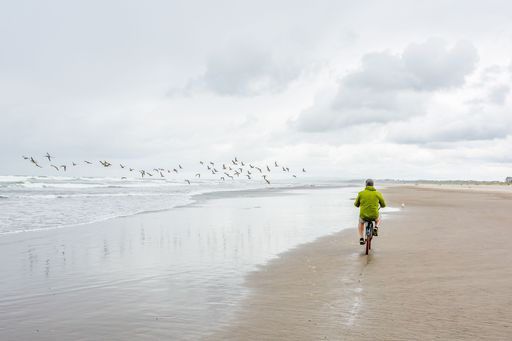 A back view of a young man riding a bicycle on a sandy beach in Oregon with flock of birds flying by