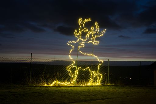 A glowing reindeer figure on the backyard