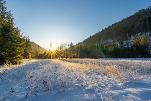 A landscape of a snow-covered field under the sunlight in the morning
