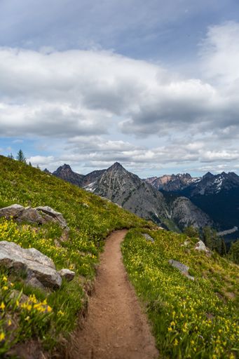A vertical shot of a path in a mountainous region under the cloudy sky