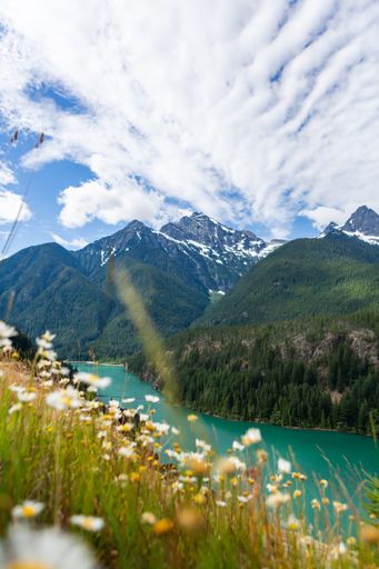 A vertical shot of a river in a mountainous region on a cloudy day
