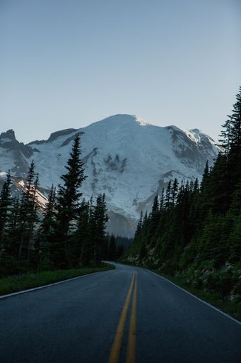 A vertical shot of a road between forests in a mountainous region under the cloudy sky