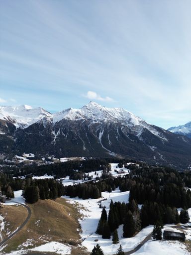 A scenic vertical view of lush trees in a snowy field with beautiful mountains in the background
