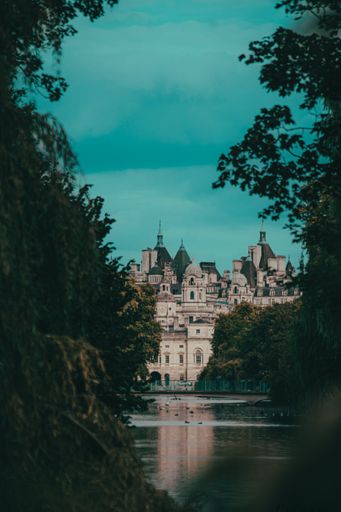 A vertical shot of buildings in London visible from the gap between two trees
