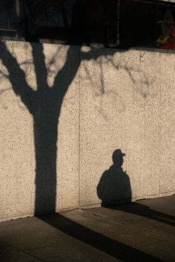 A vertical shot of shadows of a person wearing a hat and a tree on the wall
